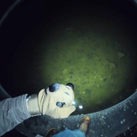 urbex eau stagnante vert